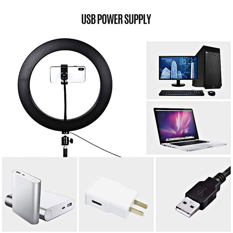 Plug-in Table Picture Light