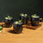 Ensemble de tasses 4 pièces Moscow Mule