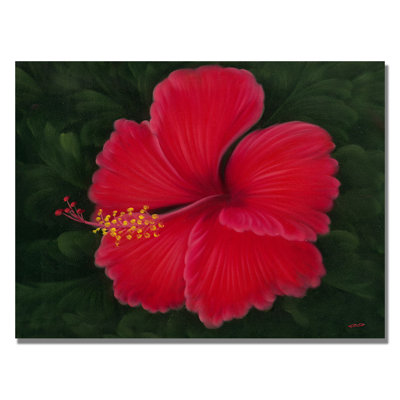 " Red " by Rio