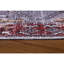 Tapis de couloir doux et durable, 100% polyester, 29,5 po x 59,1 po | Densité de 1850 g / m², hauteur des poils de 0,16 pouce | Polyester recyclé, lavable à la machine à 30 ° C | Idéal pour les vestibules et les espaces de vie-1587509863