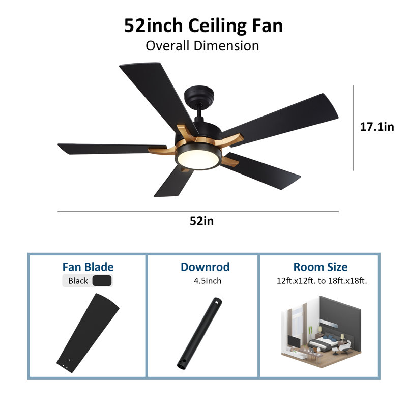 Briyan Ceiling Fan with LED Lights, Black