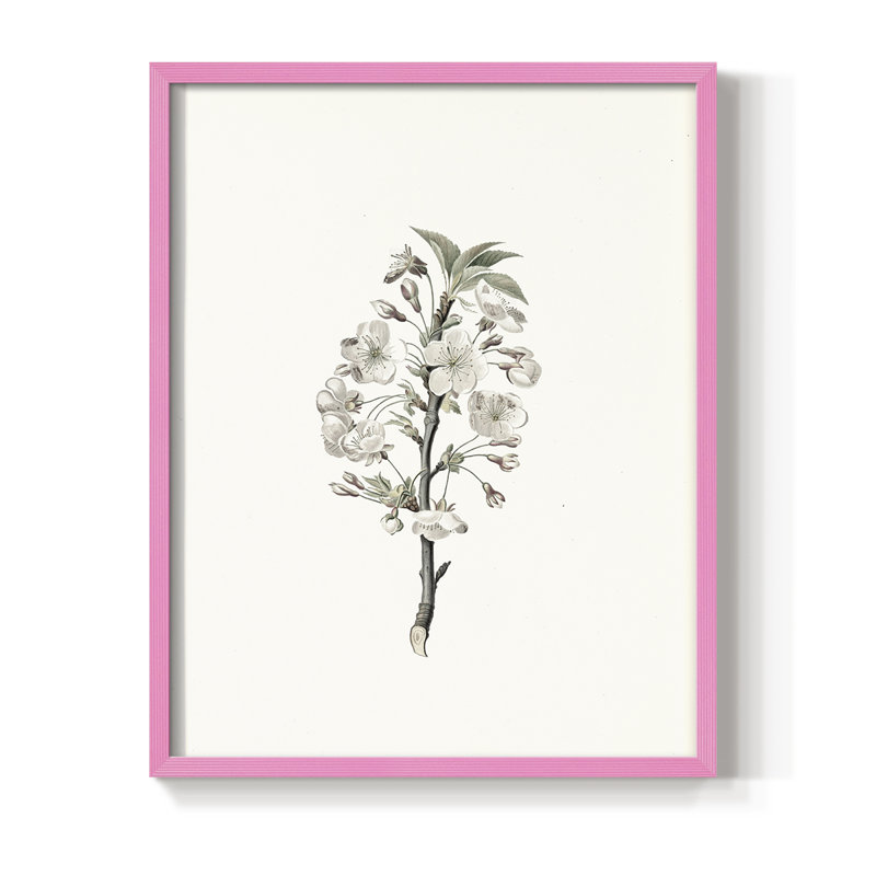 Reproduction florale vintage encadrée CL XXXVI - bois massif, Rose, H 30 po x l 24 po