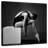 Ballet Dancer On A Box-109221470