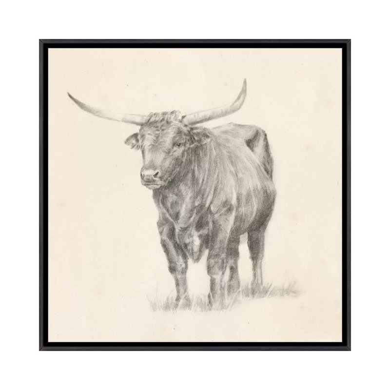 "Longhorn Steer sketch I" par Ethan Harper, reproduction d’art, H 18 po x l 18 po x 1,5 po, Pas de tapis