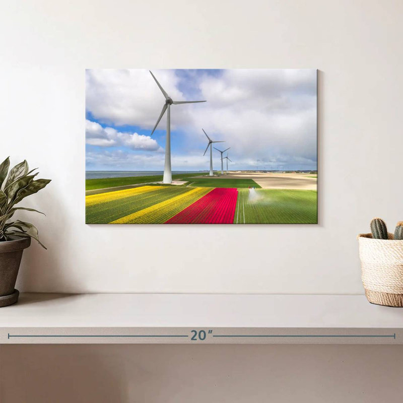Éoliennes et champs de tulipes Lilie, H 8 po x l 12 po