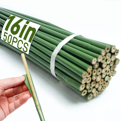 50Pcs 16in Natural Bamboo Poles