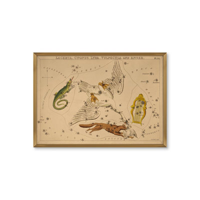 Lacerta Print by Grand Archives