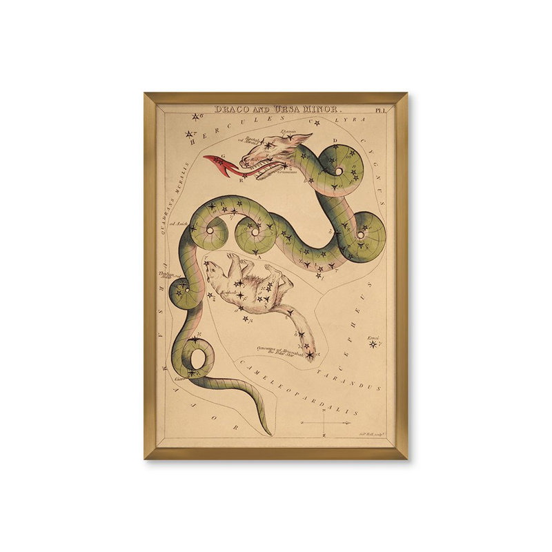 Draco Print by Grand Archives, Gold Framed, 22" H x 16" W