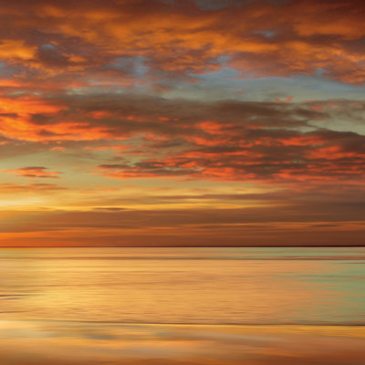 " Sunlit II " by John Seba