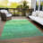 Machine Washable Indoor/Outdoor Cinead ACN1699 Green Rug-104737780
