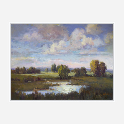 Low Country Daybreak Print by John Beard
