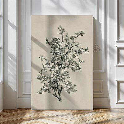 1pc, reproduction d'art sur toile encadrée, affiche, croquis, art botanique, impression sur toile pour salon, chambre, bureau, salle de bain, dortoir, prêt à accrocher