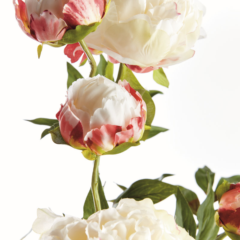 PEONY BRANCH 31 pouces, Crème, crème