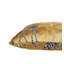 Housse de coussin girafe en velours-110081096