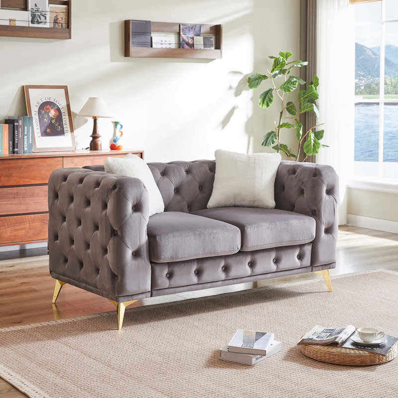 Canapé en velours de luxe avec 2 coussins, Gris, 2, H 30,25 po x l 61,25 po x P 32,75 po