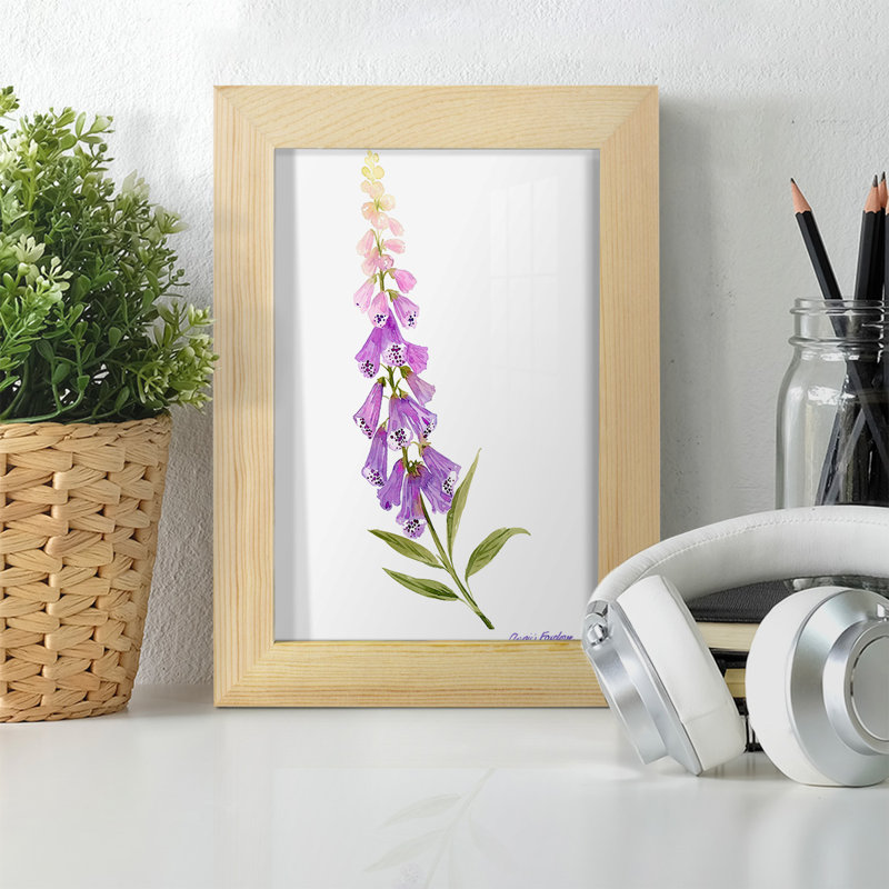 Annie's Foxglove II, L 4 po x H 6 po x P 1 po, Encadré naturel