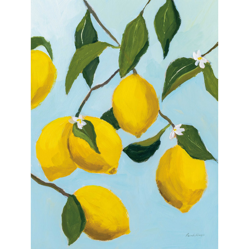 «Lemon Tree» par Pamela Munger - impression sur toile tendue, H 40 po x l 30 po