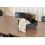 Eithne Dining Chair-1288623655