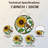 7.8"H Sunflower Sparrow Stained Glass Window Panel