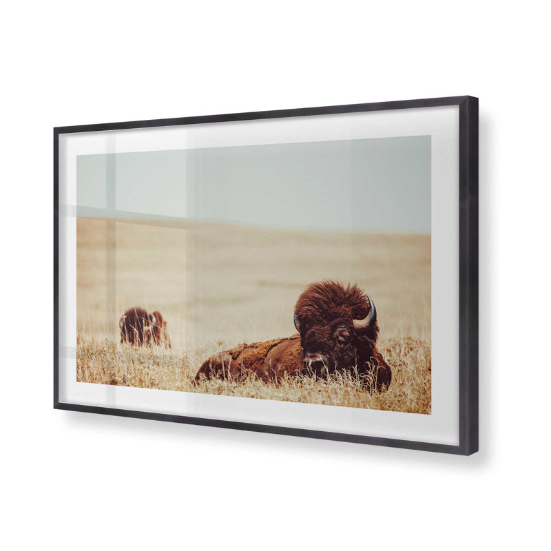 Prairie Giants Resting Print , 12.25" H x 15.25" W, Weathered Zinc