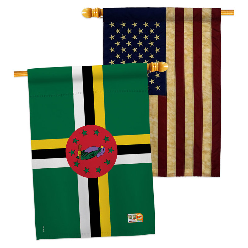 Double Sided 40'' H x 28'' W Polyester House Flag
