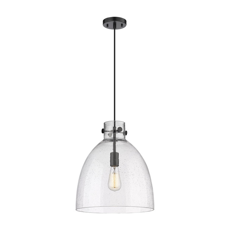 Badgett 1 - Light Single Drop Pendant Pendant, Matte Black, 16" H x 14" W x 14" D, Seedy