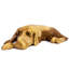 Burruss Animals Figurines & Sculptures