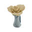 Chelsea Flower- Bisque Pale Yellow