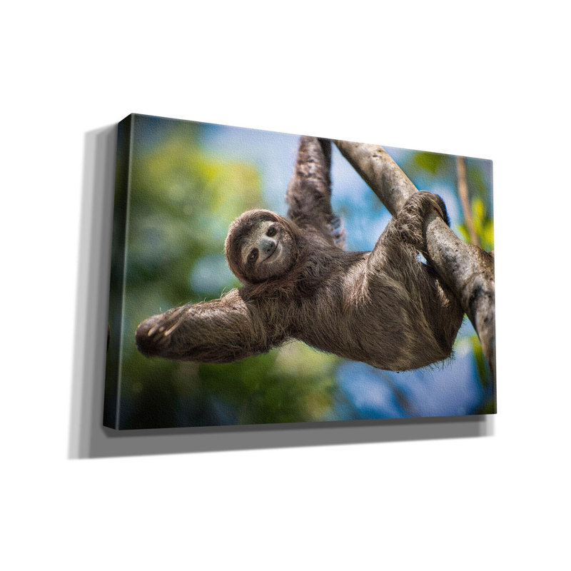 On Canvas Print, 12" H x 18" W x 0.75" D