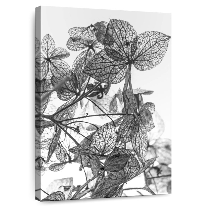 Composition de feuilles Harnek, H 12 po x l 8 po