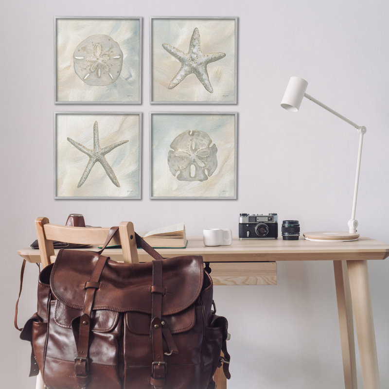 «Neutral Starfish & Sand Dollars» par PC, Cadre gris, H 17 po x l 17 po