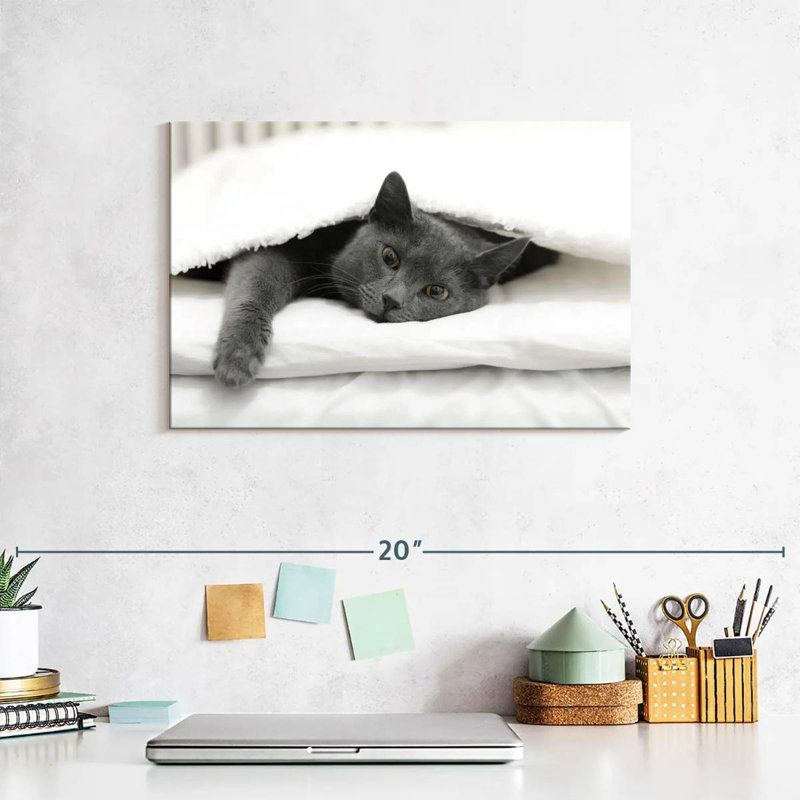 Brampt Lazy Cat, 8" H x 12" W