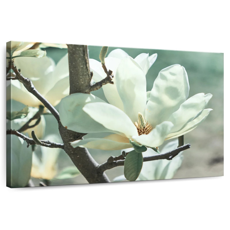 Harnek Magnolia Tree Flower, 34" H x 51" W