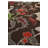 Johansson Brown Rug