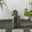 Petit jardin de moine 16,5 po Abbey