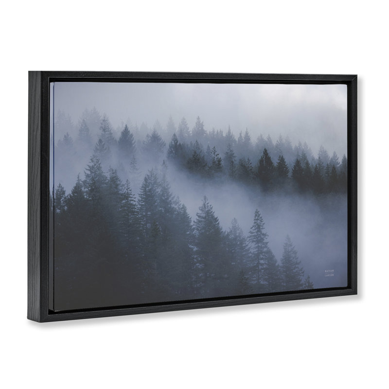  Toile flottante «Fog Fillers Trees Landscape» par Nathan Larson, H 17 po x l 25 po, Cadre flottant noir de jais