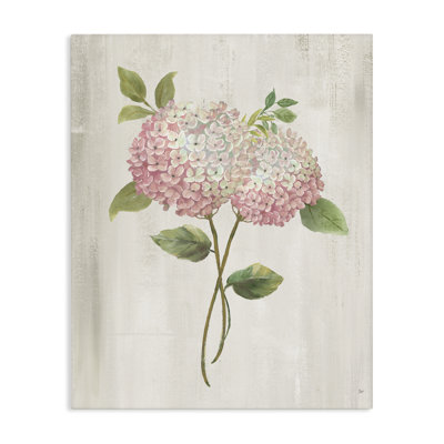Vintage Pink Hydrangea Canvas, design by Nan