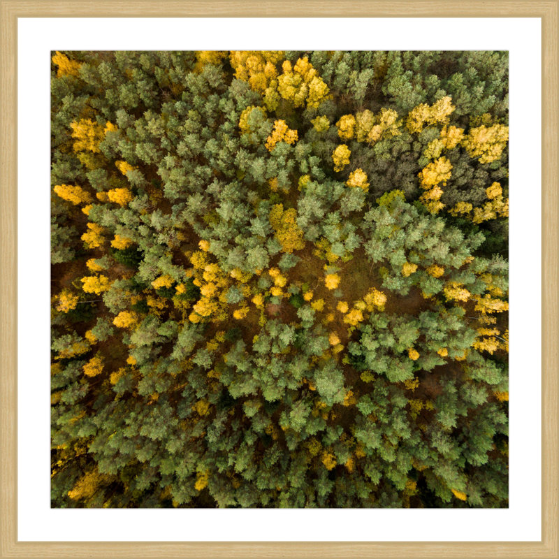 Karolis Janulis - Single Picture Frame Print, 51 cm H x 51 cm W x 3.81 cm D