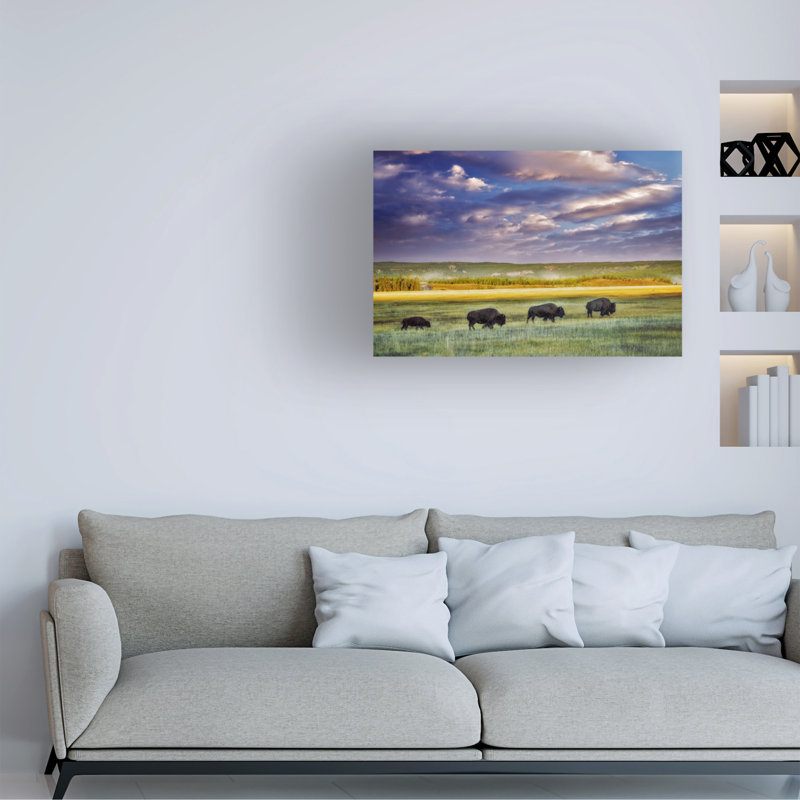 Animaux Buffalo In Field sur impression sur toile, H 16 po x l 24 po x P 2 po