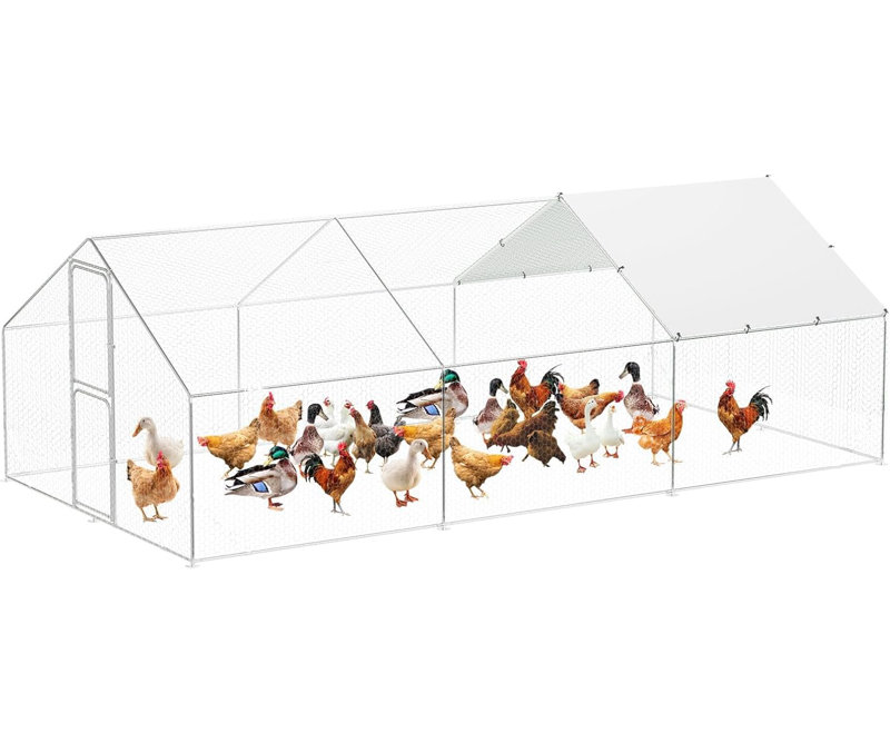 Chicken Coop