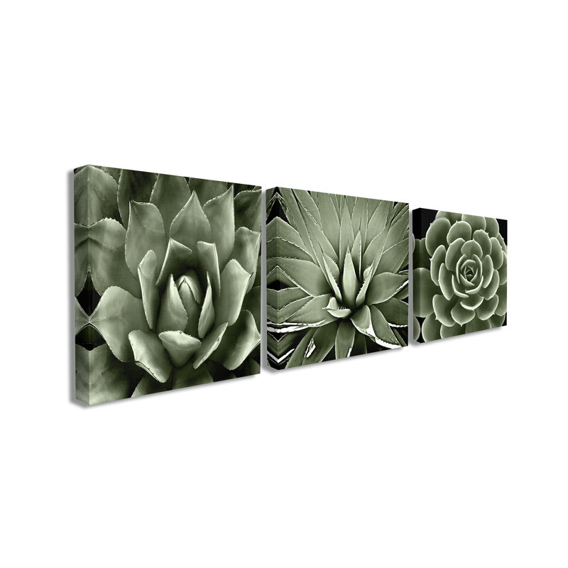 «Contrast Succulent Bloom Trio», ensemble de 3 impressions, Toile tendue, H 17 po x l 17 po x P 1,5 po