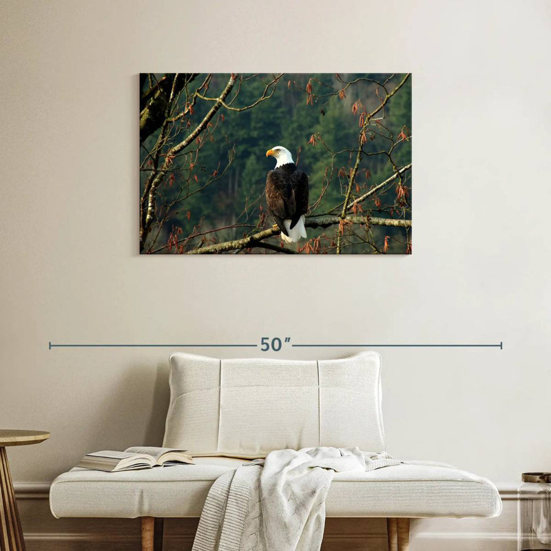 Brampt Perched Canadian Bald Eagle, 24" H x 36" W