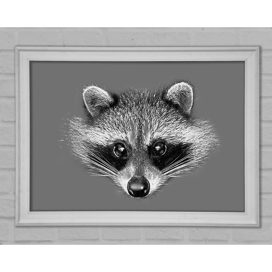 Raccoon On Grey - Einzelnes Bild auf Leinwandbild gerahmt