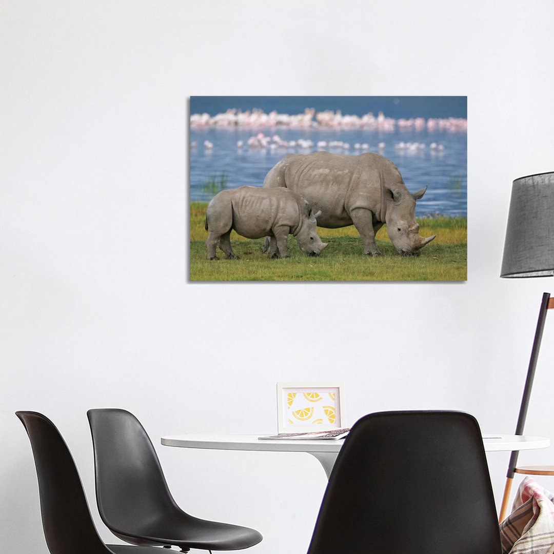 White Rhinoceros Mother And Juvenile Grazing, Lake Nakuru, Kenya