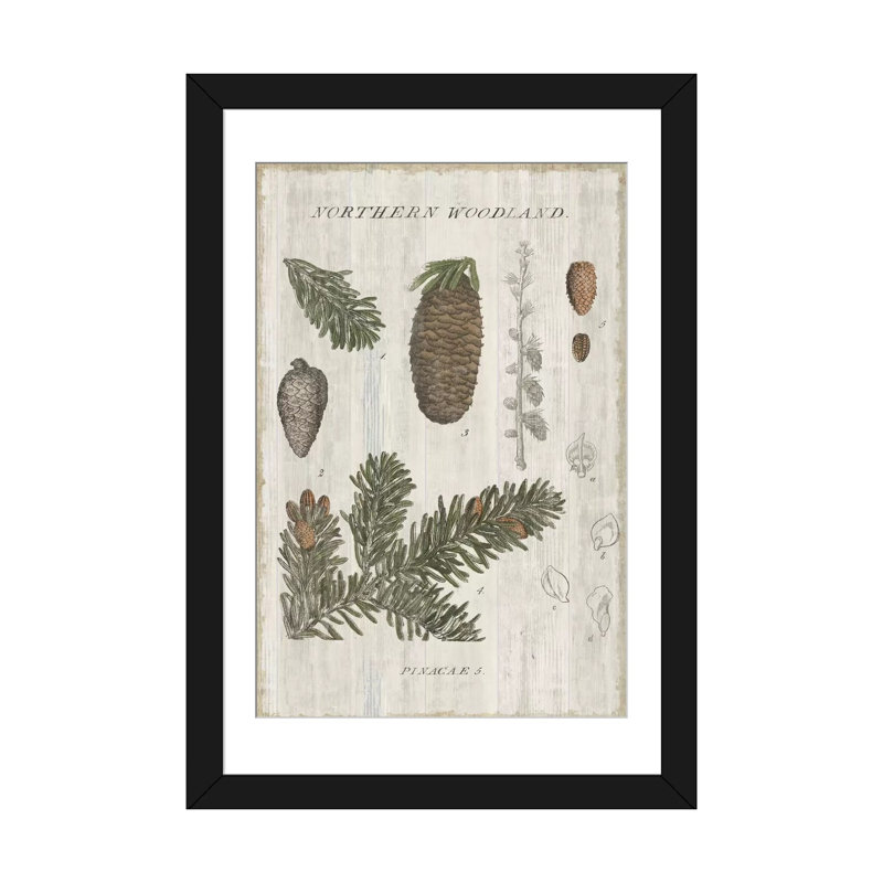 Bois forestier iv, impression sur toile tendue, Papier d'art encadré noir, Blanc, H 24 po x l 16 po x P 1 po