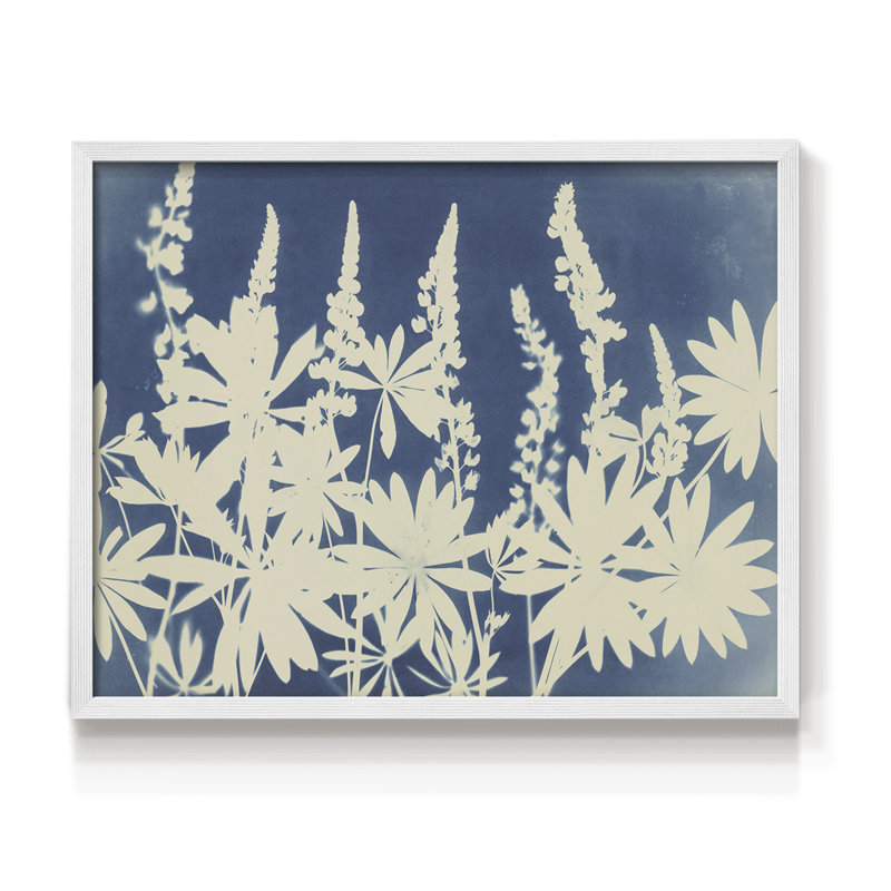 Joli lupin - reproduction encadrée, H 16 po x l 20 po, Blanc