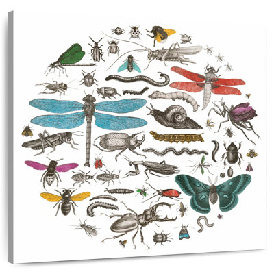 Insect Circle I Bright