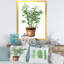 Ficus benjamina dans un pot de fleurs en argile - peinture sur toile-59284320-59284321