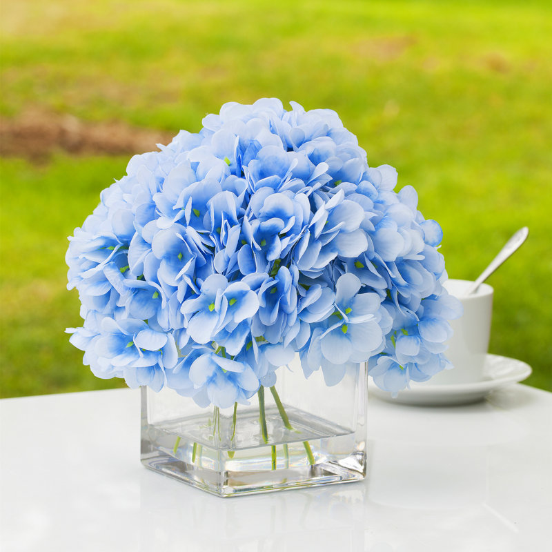 Hortensia en fleurs dans un vase en verre, Bleu