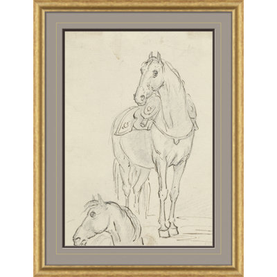 Horse Study Framed Print